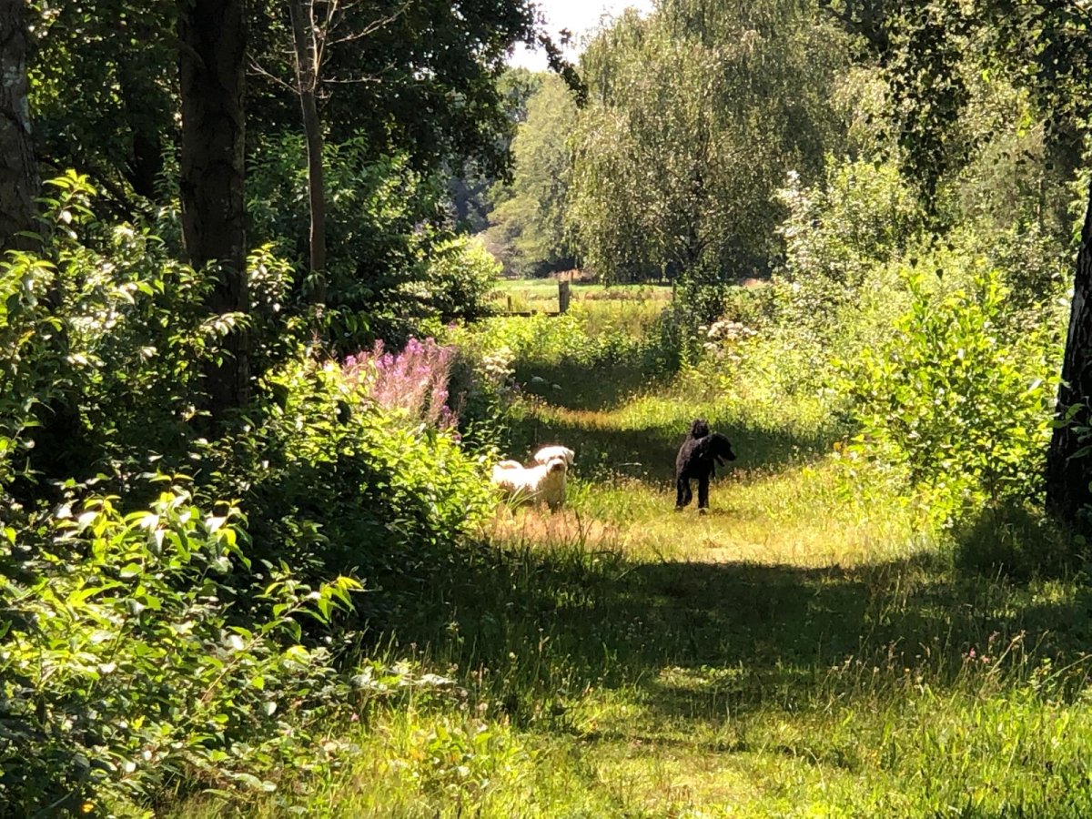 Hellendoorn
